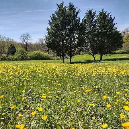Independante A La Campagne Avec Piscine Paulhiac